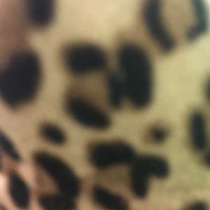 Meet your Posher, Chloe